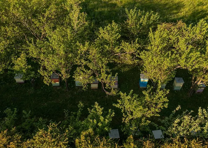 Farm stay Dworek Na Wzgorzu *